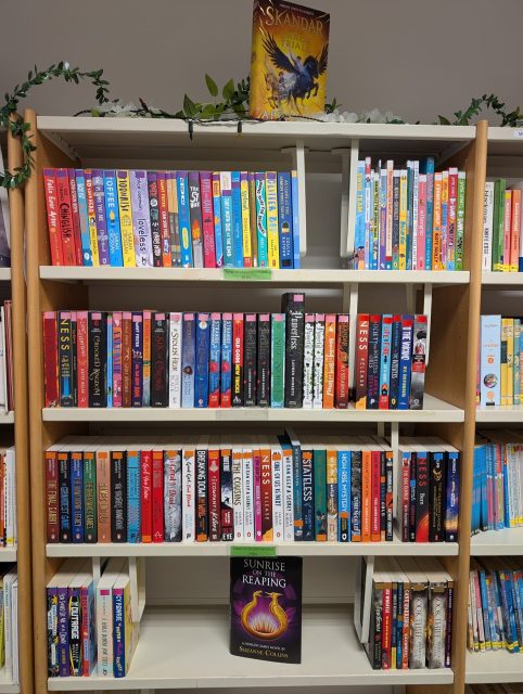 Our new titles are being borrowed fast! Here’s a glimpse of some of them. Pop across to the Reading Lodge tomorrow lunch to check them out! 📚
#HollyLodgeLife #ExpectToAchieve