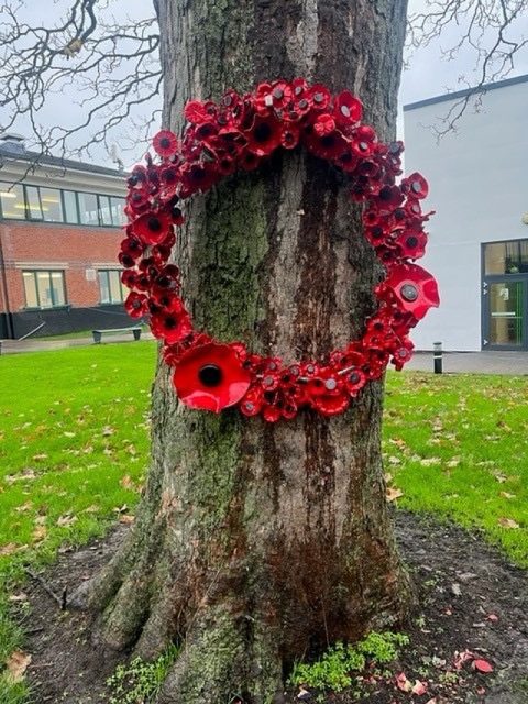Here is our new poppy wreath installed at school - Created by Year 7, 8, 9 & 10 pupils out of recycled plastic bottles. As we mark the 2-minute silence of remembrance today we are proud to display our students’ work in their own act of remembrance. 🕊️
#HollyLodgeLife #ExpectToAchieve