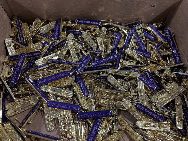 Ahead of their mock exams, Year 11 were presented with their badges for this year. This cohort’s slogan is ‘Not Your Average’ which is certainly a good way to describe them, as their attitudes and current work rate is well above average! They have put themselves in a position where they can do really well at the end of the year. 
#HollyLodgeLife #ExpectToAchieve #NotYourAverage