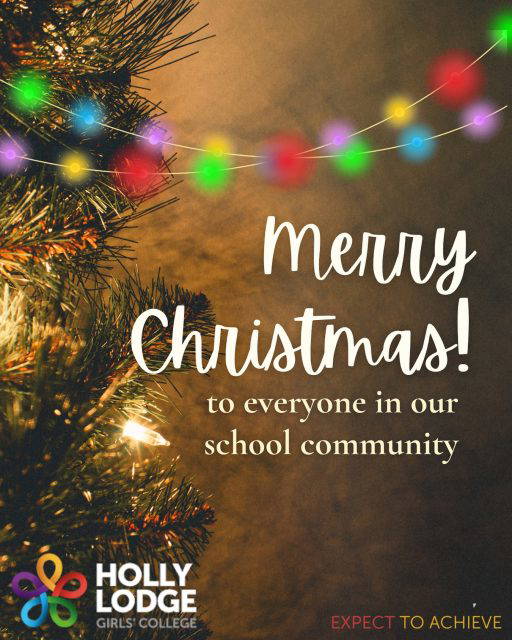 Merry Christmas to all who are celebrating! 
#HollyLodgeLife #ExpectToAchieve